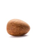 Satvik Dry Whole Coconut (Uncut, Non Edible) For Puja, Prayer & Hawan Purposes, Dry Copra, Nariyal